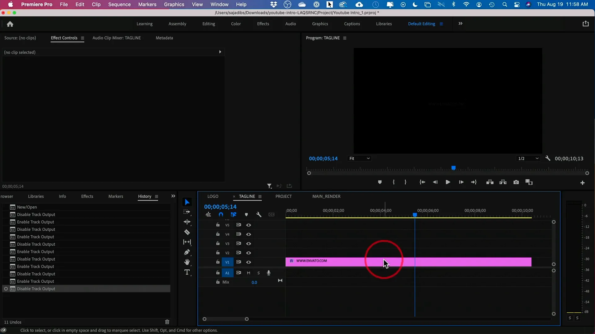 Editing logo in Adobe Premiere Pro.