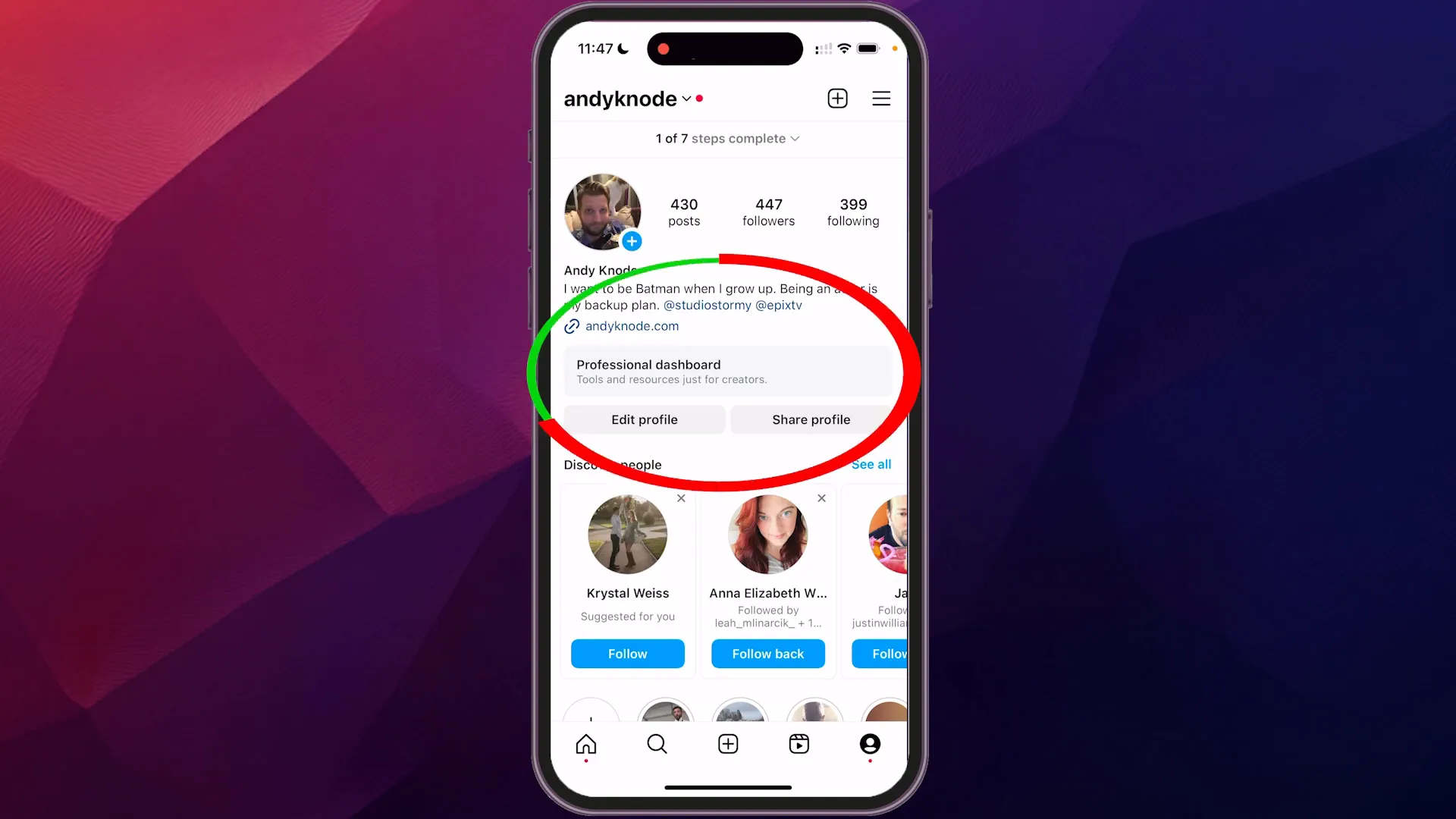 Professional Dashboard on profile page