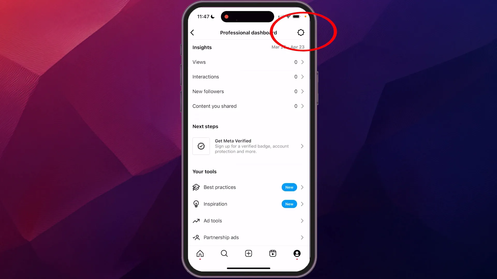 Settings gear icon in Professional Dashboard
