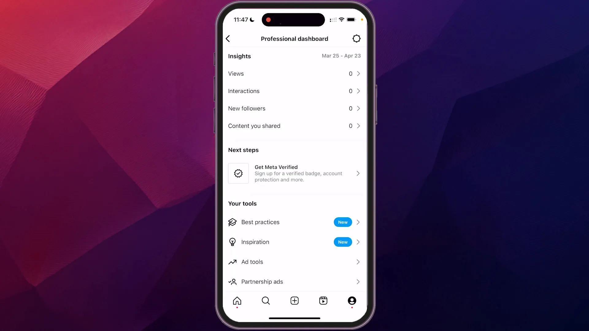 Professional Dashboard options