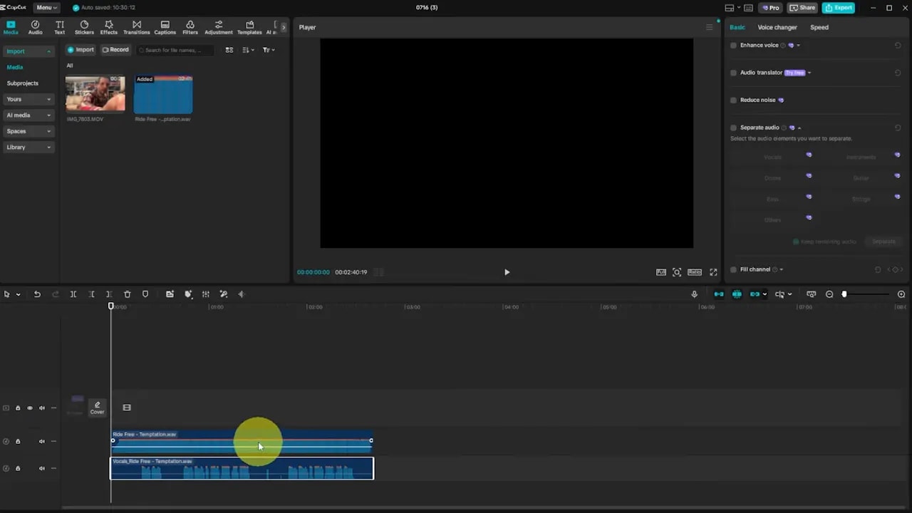 CapCut timeline showing two aligned audio tracks with distinct waveforms: an instrumental track above and an isolated vocal track below.